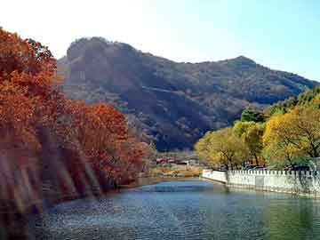 管家婆黑白马报图库，空气呼吸器型号